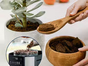 De’Longhi TrueBrew Automatic Drip Coffee Maker