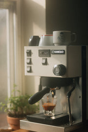 Rancilio Silvia Pro X Dual-Boiler Espresso Machine with PID