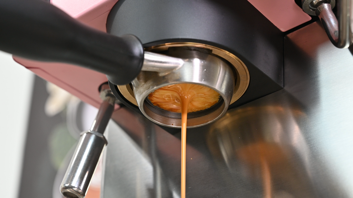 Rancilio Silvia Pro X Dual-Boiler Espresso Machine with PID